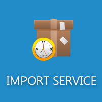 Import/Export Custom Declaration